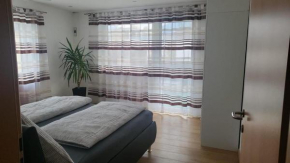 Apartment Baicu Zell am See